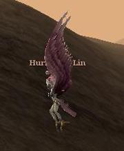 Hurricane Lin